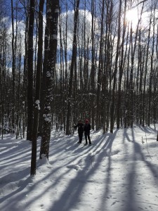 cross country skiing northern michigan